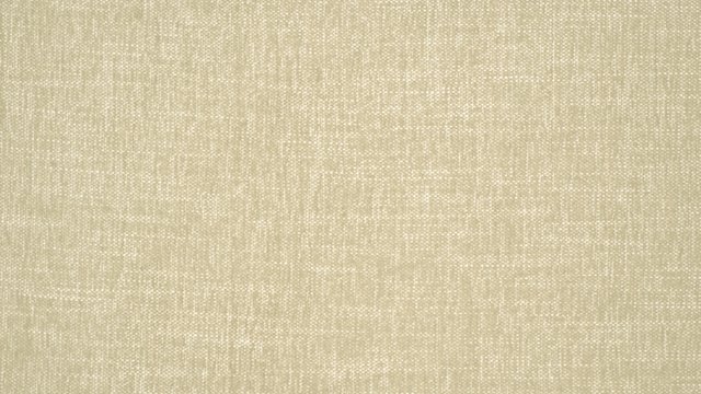 Temple Fabric / Kohl Oyster